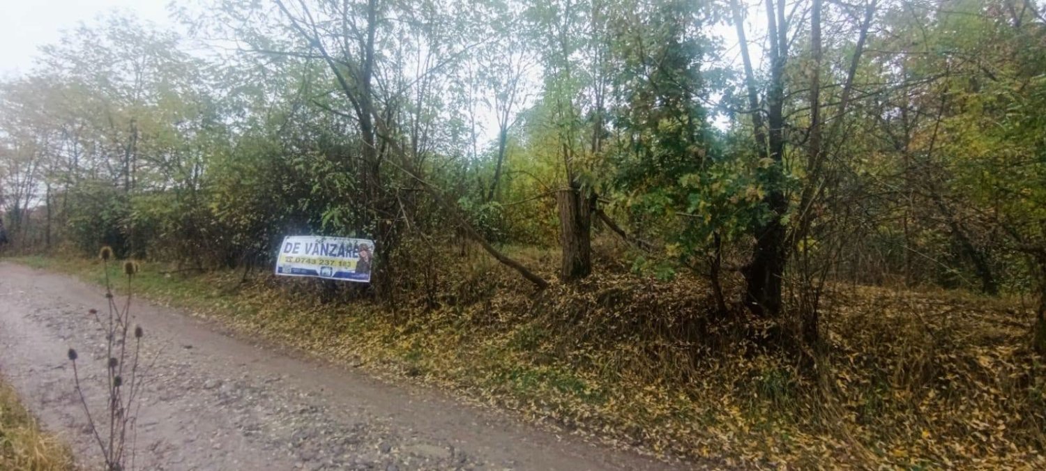 teren-2263-mp-intravilan-de-vanzare-in-curtea-de-arges-zona-busaga-big-3