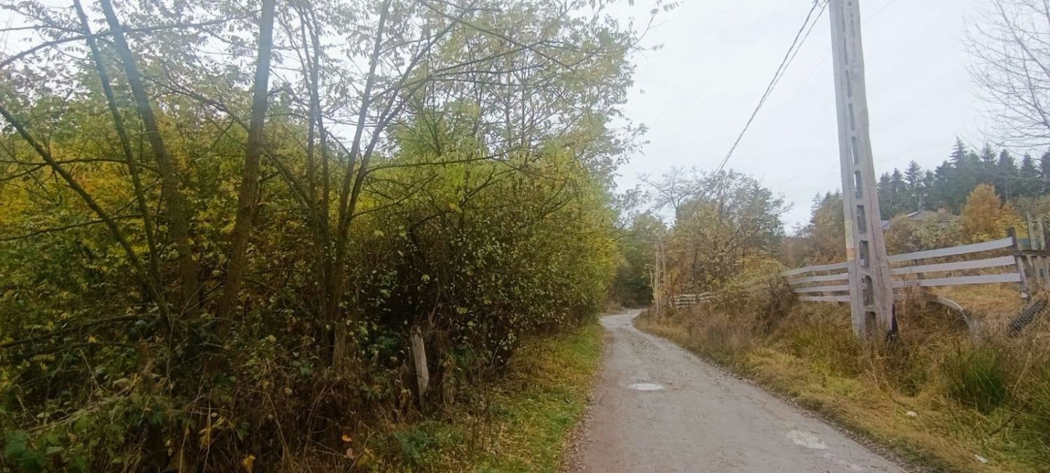 teren-2263-mp-intravilan-de-vanzare-in-curtea-de-arges-zona-busaga-big-2