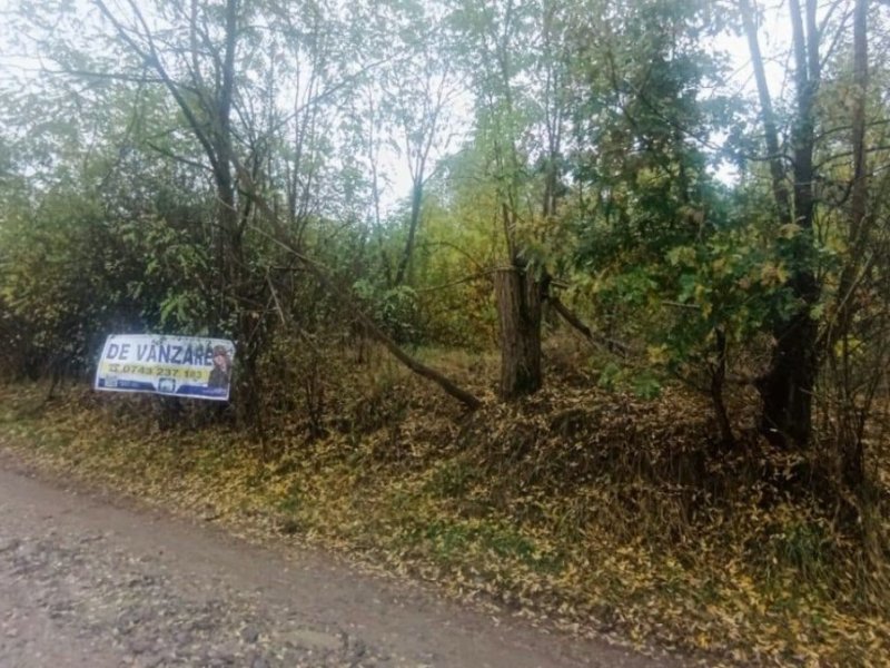 teren-2263-mp-intravilan-de-vanzare-in-curtea-de-arges-zona-busaga-small-3