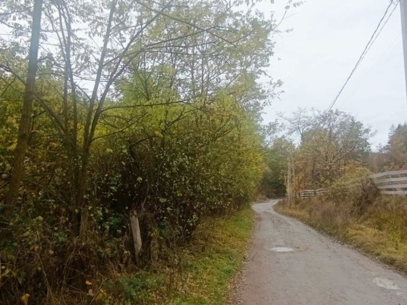 teren-2263-mp-intravilan-de-vanzare-in-curtea-de-arges-zona-busaga-small-2