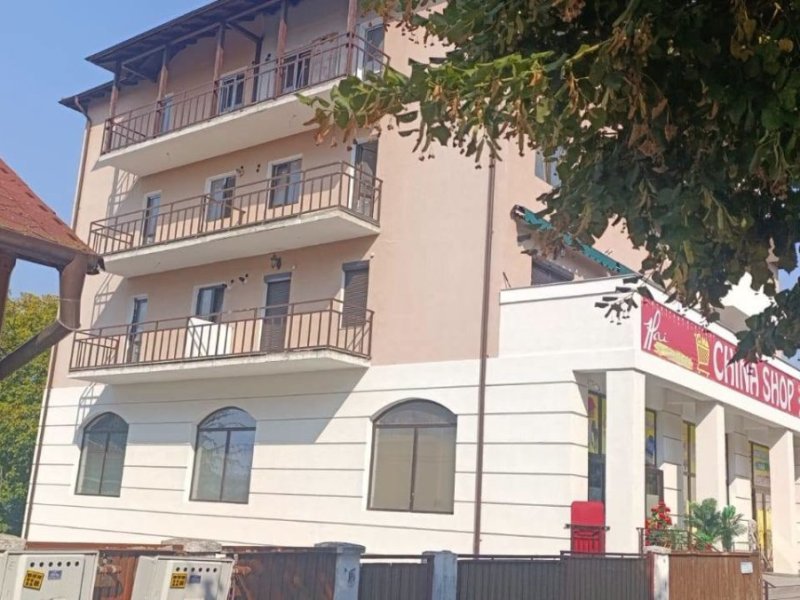 penthouse-de-vanzare-ultracentral-curtea-de-arges-small-1