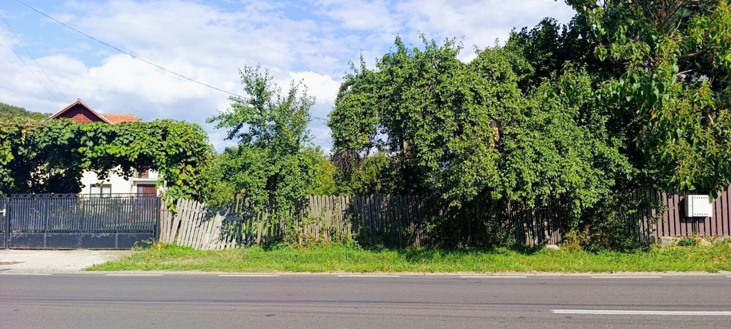 teren-2400-mp-de-vanzare-albestii-de-arges-arges-big-0