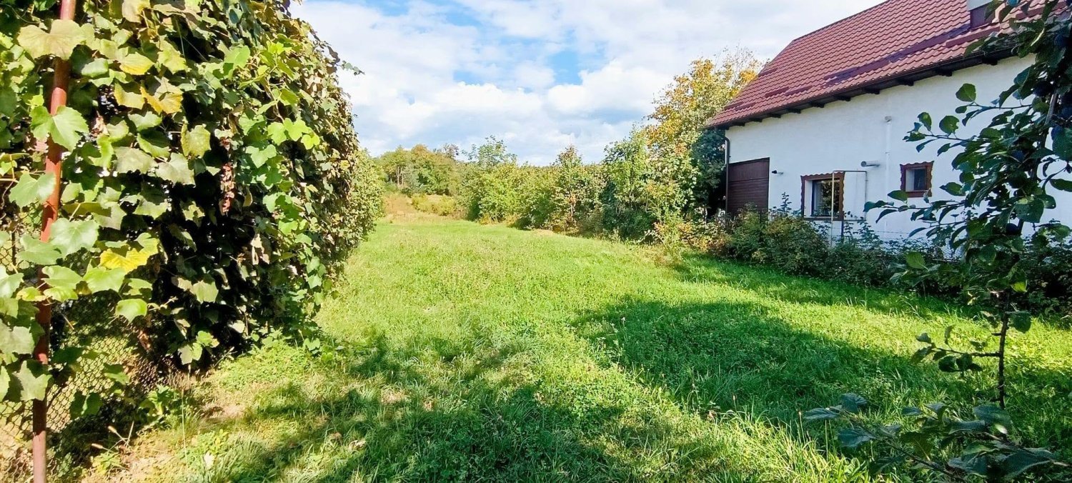 teren-2400-mp-de-vanzare-albestii-de-arges-arges-big-4