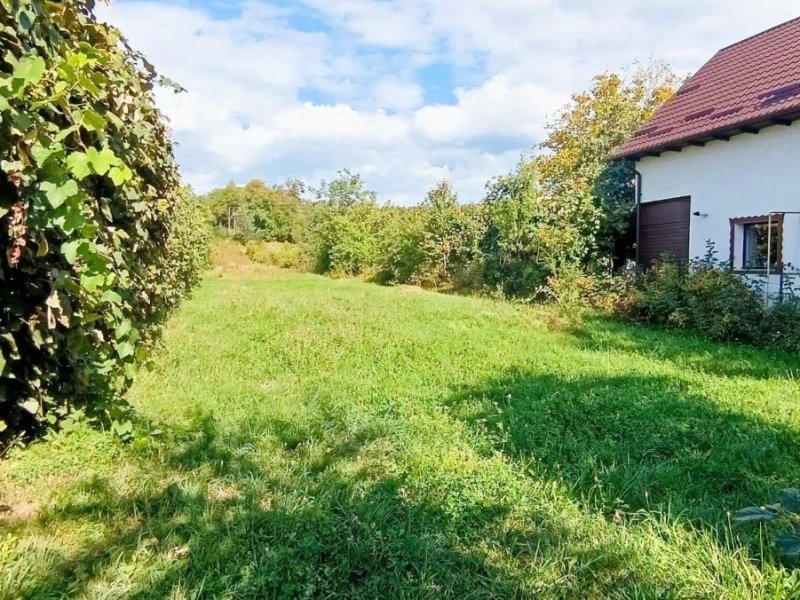 teren-2400-mp-de-vanzare-albestii-de-arges-arges-small-4