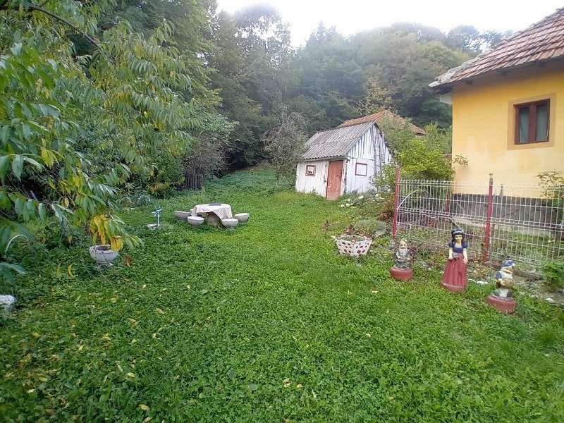 casa-si-teren-5600-mp-in-cepari-arges-big-1