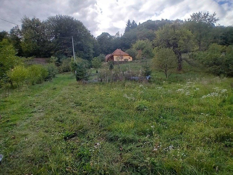casa-si-teren-5600-mp-in-cepari-arges