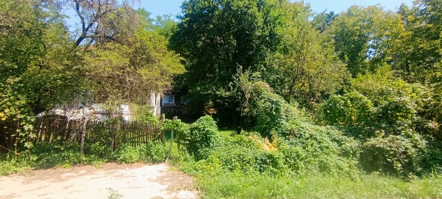 teren-6240-mp-si-casa-batraneasca-in-baiculesti-arges-big-2