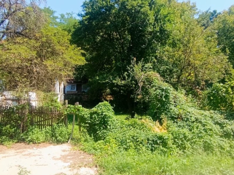 teren-6240-mp-si-casa-batraneasca-in-baiculesti-arges-small-2