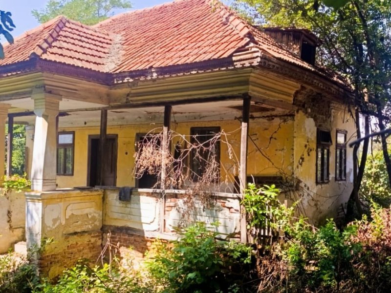 teren-6240-mp-si-casa-batraneasca-in-baiculesti-arges-small-3