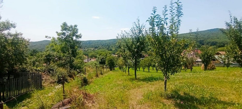 teren-2473-mp-de-vanzare-in-valea-lui-enache-com-baiculesti-arges-big-3