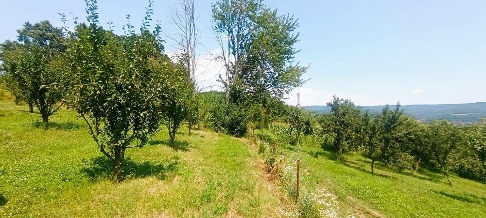 teren-2473-mp-de-vanzare-in-valea-lui-enache-com-baiculesti-arges-big-2