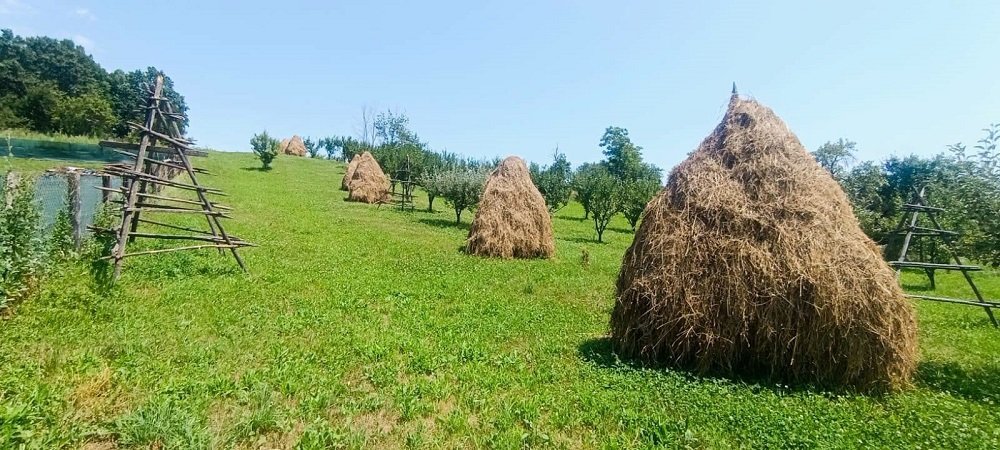 teren-2473-mp-de-vanzare-in-valea-lui-enache-com-baiculesti-arges-big-0