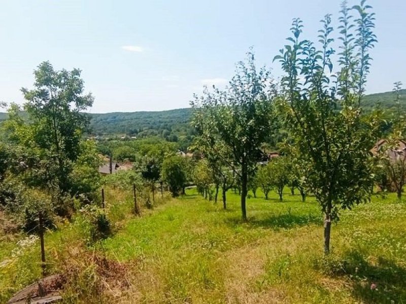 teren-2473-mp-de-vanzare-in-valea-lui-enache-com-baiculesti-arges-small-3