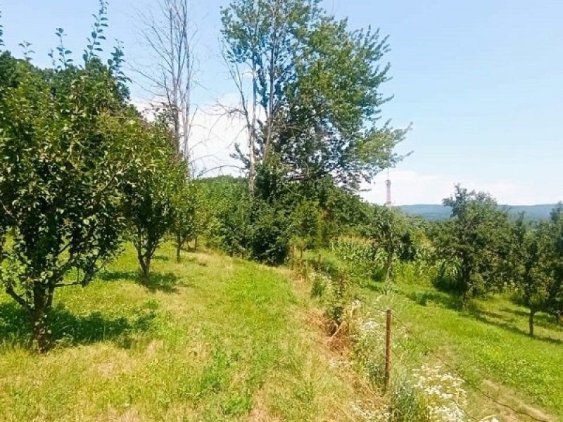 teren-2473-mp-de-vanzare-in-valea-lui-enache-com-baiculesti-arges-small-2