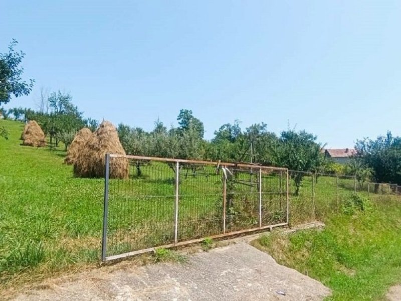 teren-2473-mp-de-vanzare-in-valea-lui-enache-com-baiculesti-arges-small-1