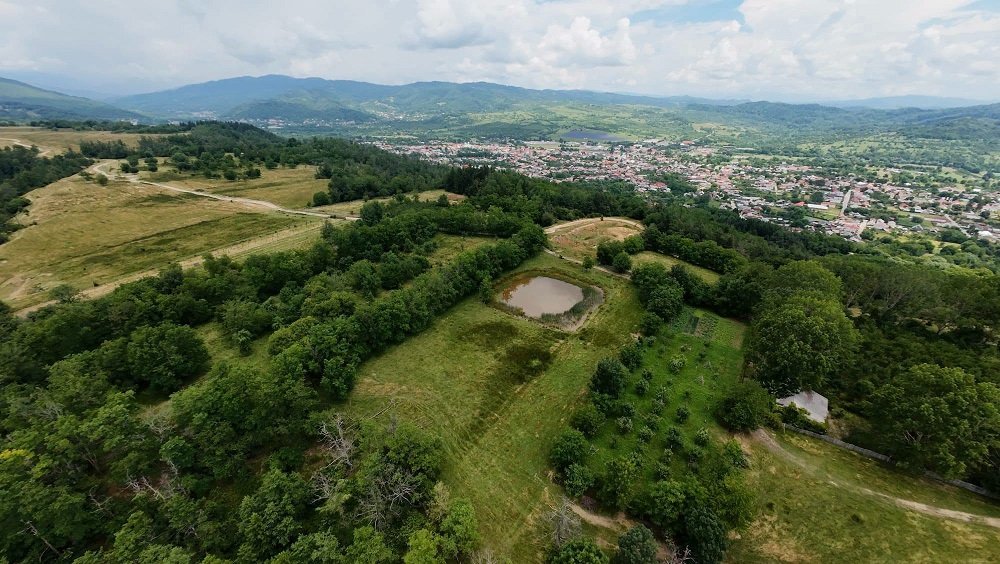 teren-extravilan-6000-mp-in-domnesti-arges-big-0