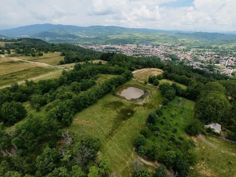 teren-extravilan-6000-mp-in-domnesti-arges