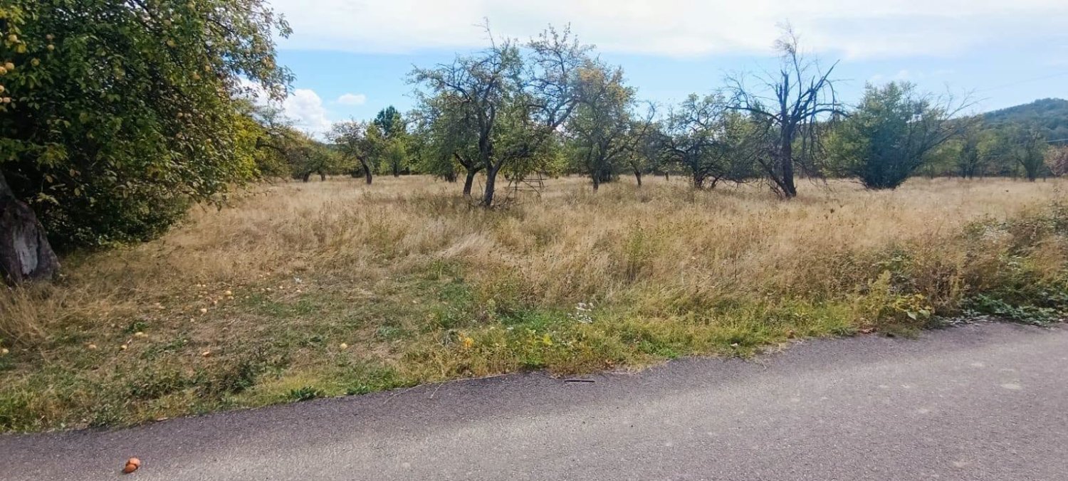 de-vanzare-17323-mp-teren-intravilan-in-rudeni-arges-big-2