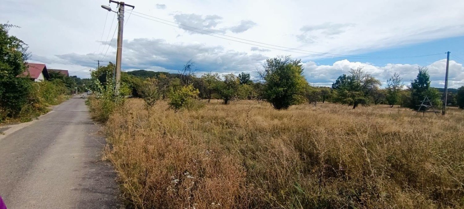 de-vanzare-17323-mp-teren-intravilan-in-rudeni-arges-big-1