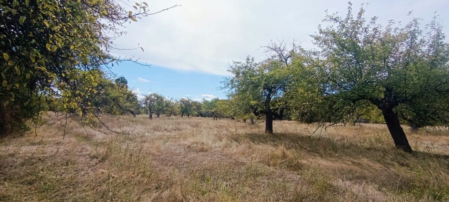 de-vanzare-17323-mp-teren-intravilan-in-rudeni-arges-big-3