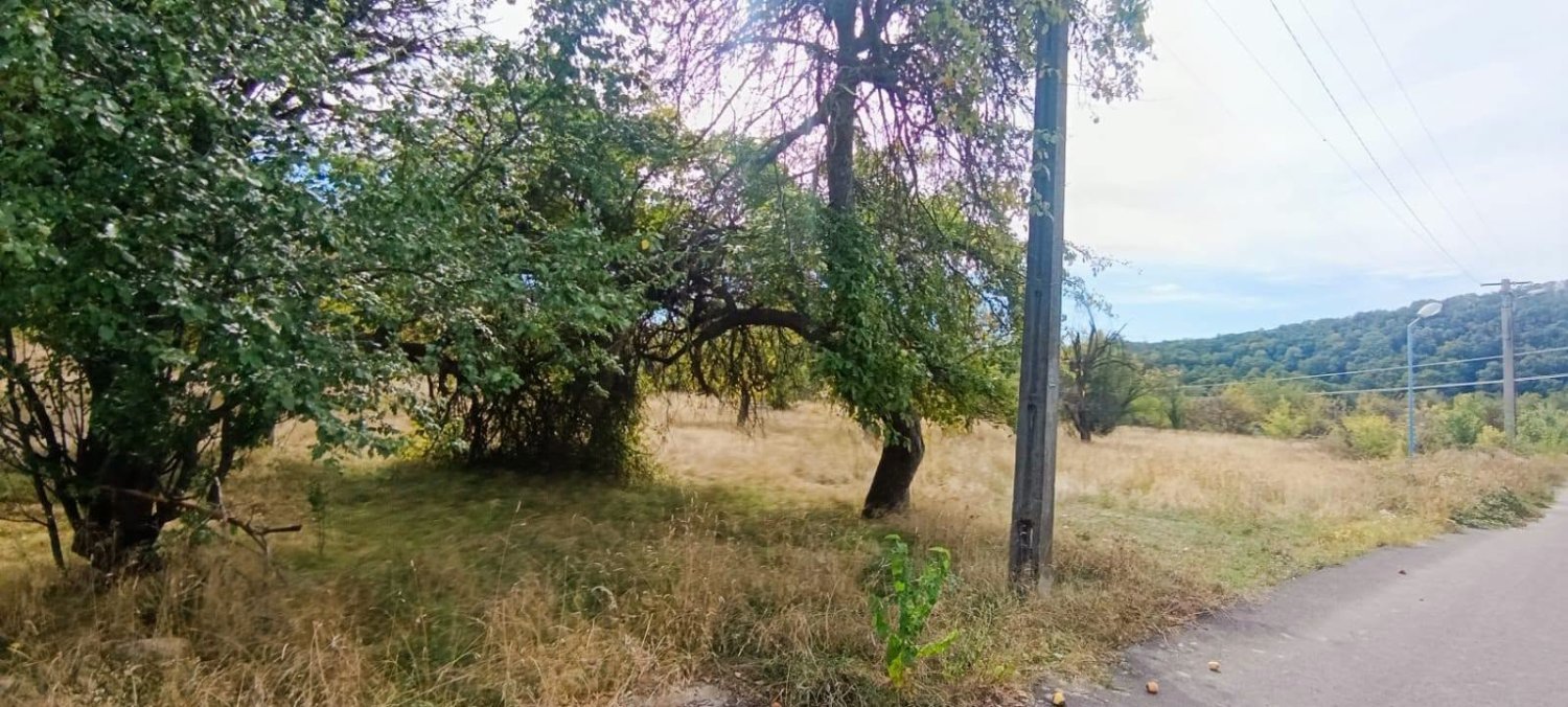 de-vanzare-17323-mp-teren-intravilan-in-rudeni-arges-big-0