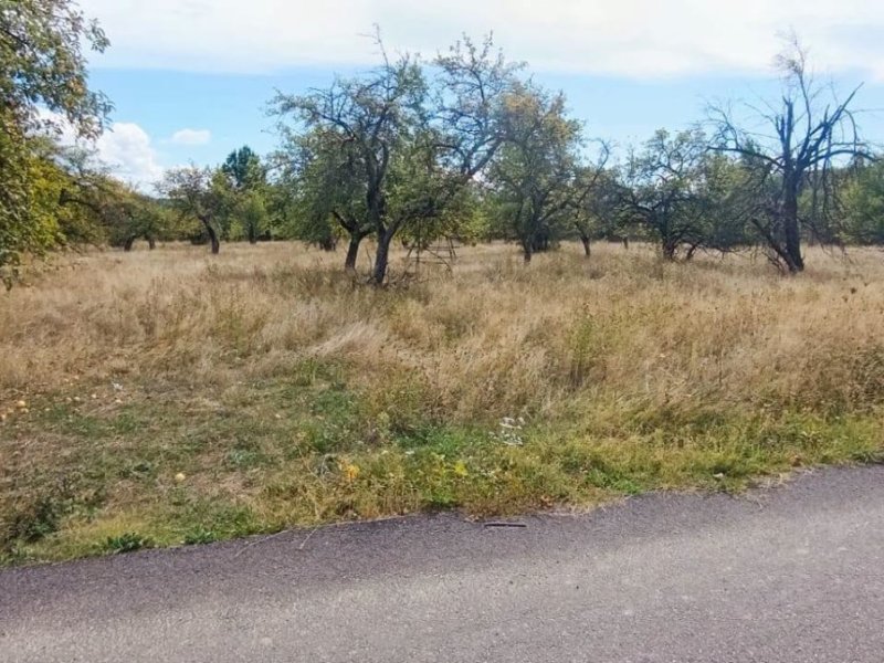 de-vanzare-17323-mp-teren-intravilan-in-rudeni-arges-small-2