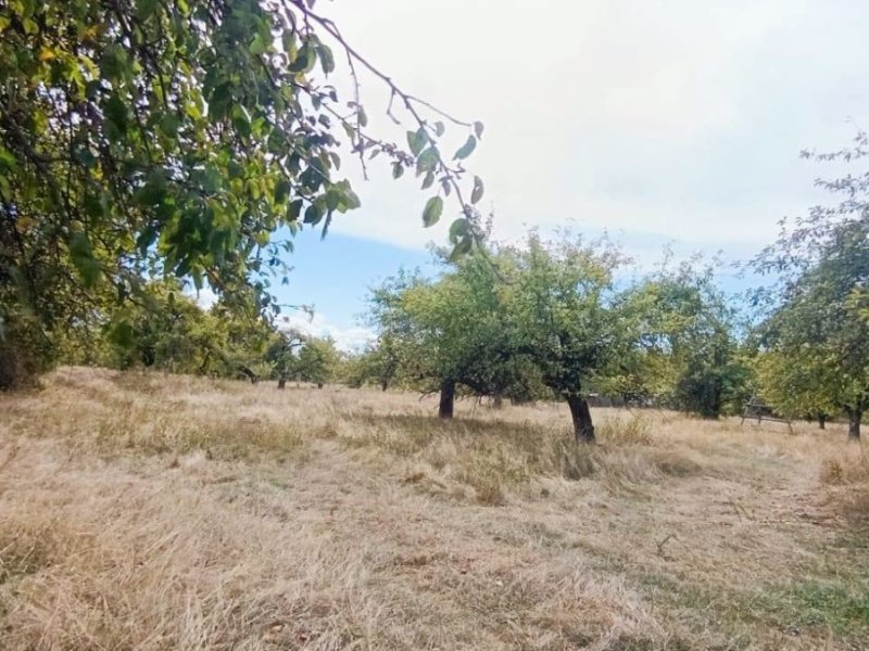 de-vanzare-17323-mp-teren-intravilan-in-rudeni-arges-small-4