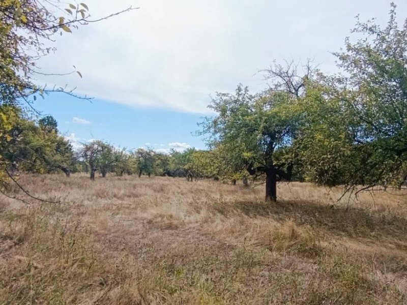 de-vanzare-17323-mp-teren-intravilan-in-rudeni-arges-small-3