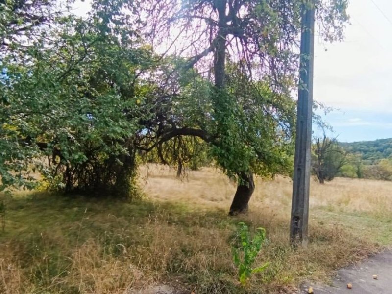 de-vanzare-17323-mp-teren-intravilan-in-rudeni-arges