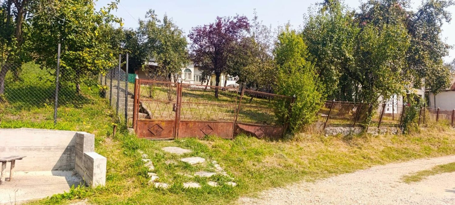 casa-de-vanzare-cu-teren-in-baiculesti-big-2