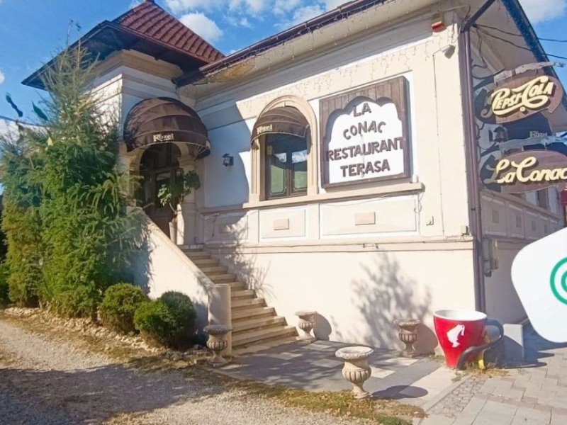 de-vanzare-proprietate-de-exceptie-in-centru-curtea-de-arges