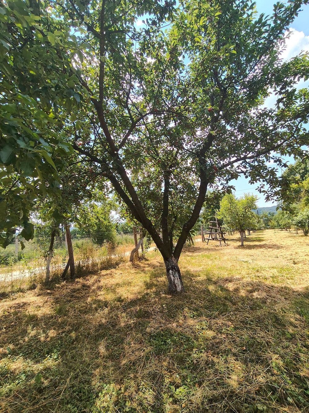 casa-cu-teren-1709-mp-de-vanzare-in-baiculesti-arges-big-4