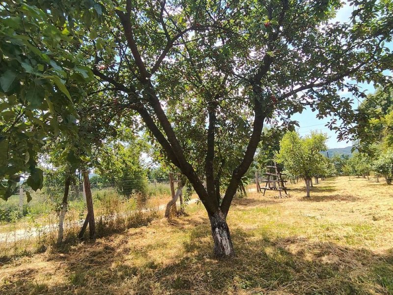 casa-cu-teren-1709-mp-de-vanzare-in-baiculesti-arges-small-4