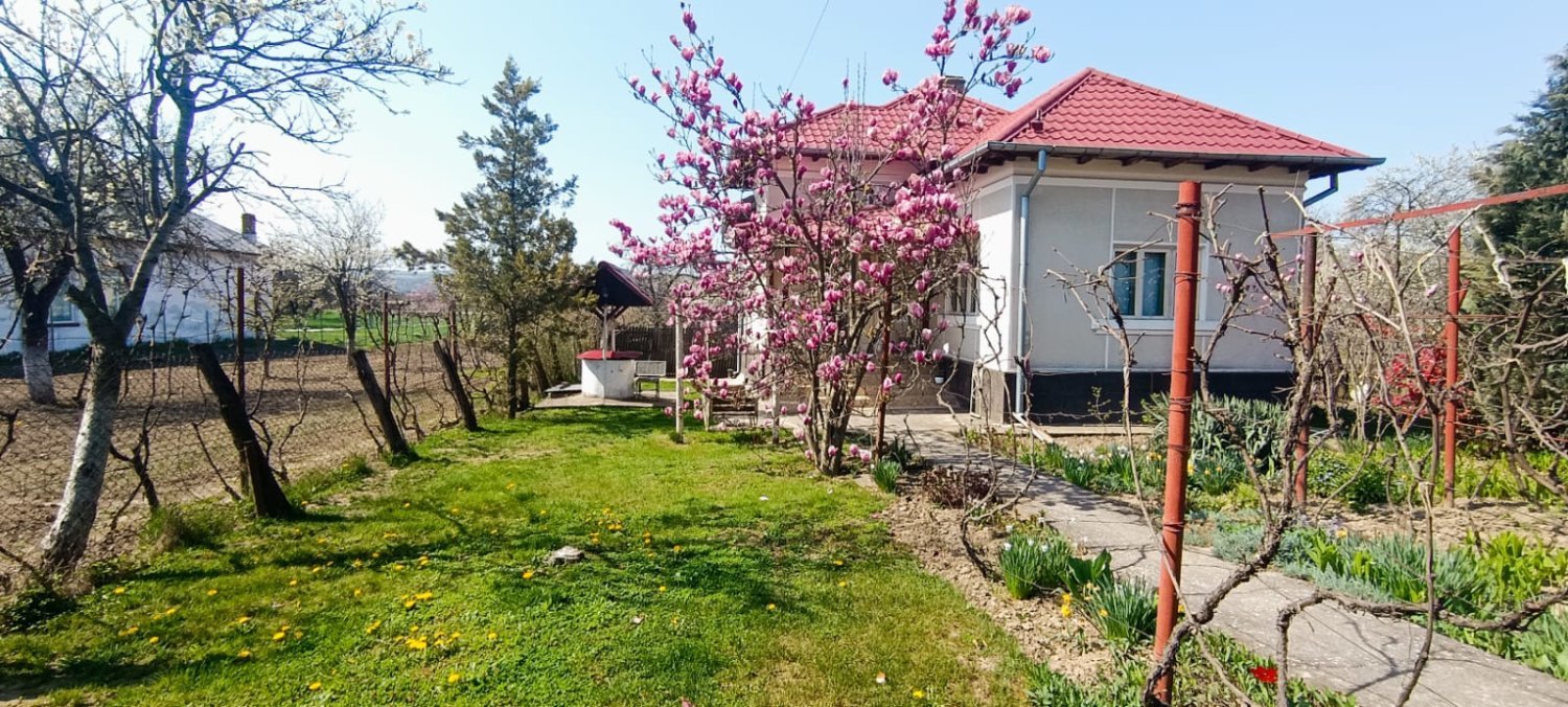 casa-de-vanzare-cu-teren-2838-mp-in-manicesti-arges-big-1