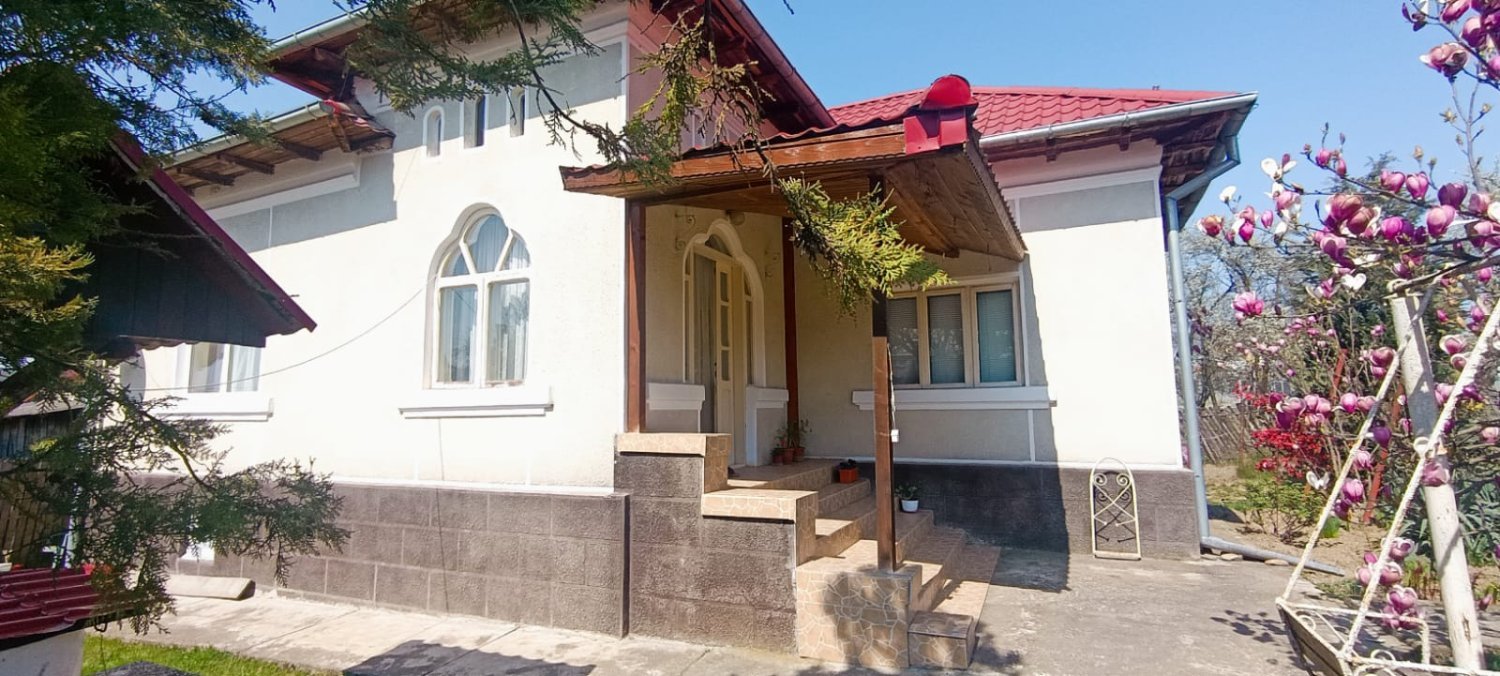 casa-de-vanzare-cu-teren-2838-mp-in-manicesti-arges-big-2