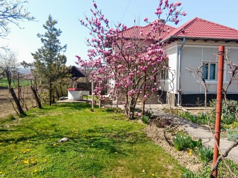 casa-de-vanzare-cu-teren-2838-mp-in-manicesti-arges-small-1