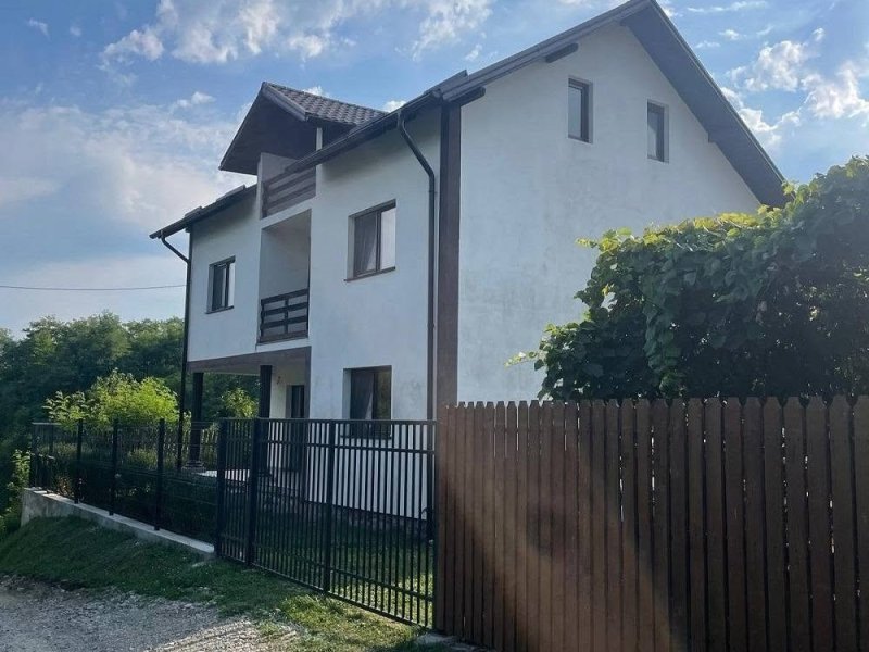 casa-dpe-de-vanzare-com-valea-iasului-jud-arges-small-1