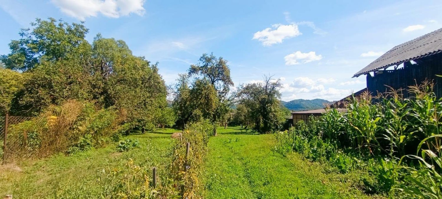 teren-intravilan-de-vanzare-in-domnesti-arges-big-0