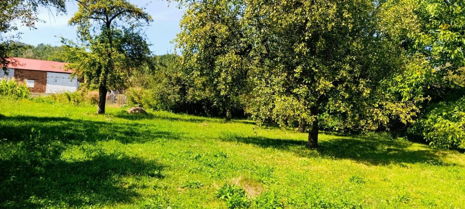 teren-intravilan-de-vanzare-in-domnesti-arges-big-1