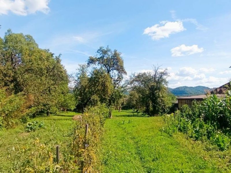 teren-intravilan-de-vanzare-in-domnesti-arges