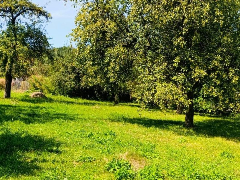 teren-intravilan-de-vanzare-in-domnesti-arges-small-1