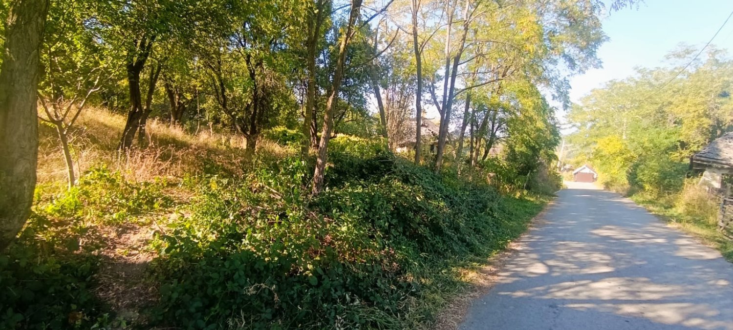 de-vanzare-teren-intravilan-1000-mp-valea-danului-zona-borobanesti-arges-big-3