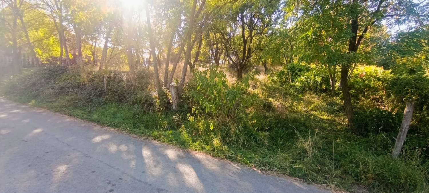 de-vanzare-teren-intravilan-1000-mp-valea-danului-zona-borobanesti-arges-big-4