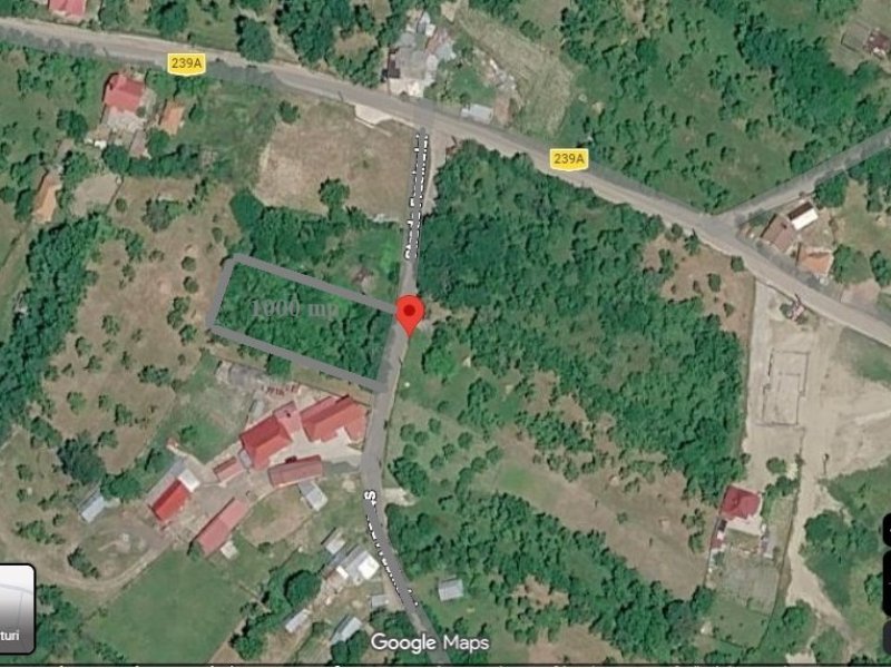 de-vanzare-teren-intravilan-1000-mp-valea-danului-zona-borobanesti-arges-small-1