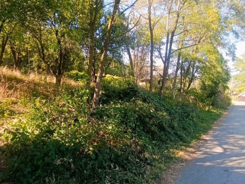 de-vanzare-teren-intravilan-1000-mp-valea-danului-zona-borobanesti-arges-small-3