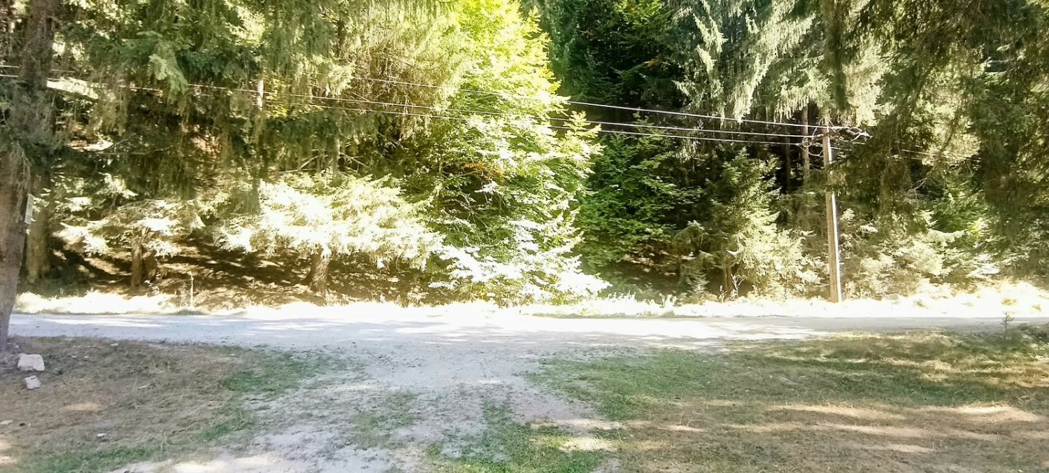 teren-de-vanzare-10000-mp-in-inima-naturii-langa-transfagarasan-big-1