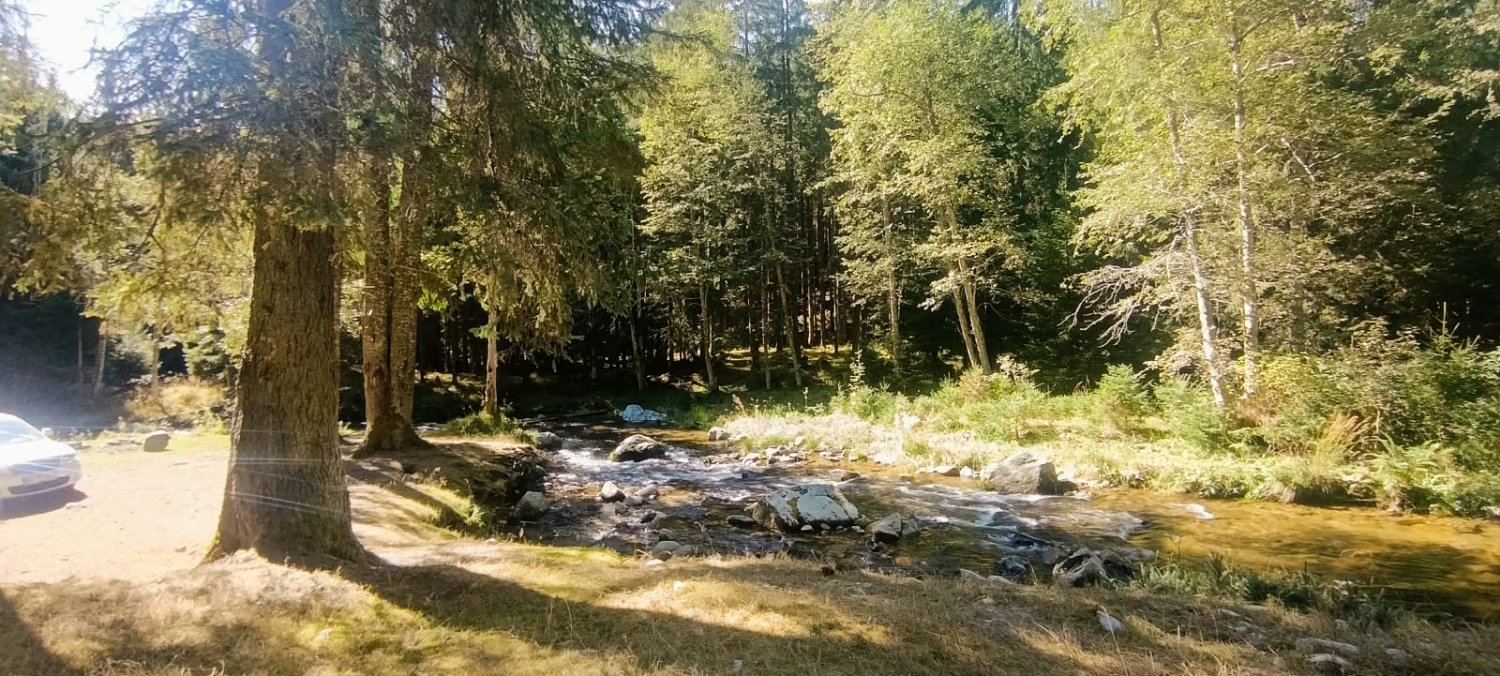 teren-de-vanzare-10000-mp-in-inima-naturii-langa-transfagarasan-big-3