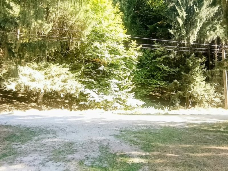 teren-de-vanzare-10000-mp-in-inima-naturii-langa-transfagarasan-small-1