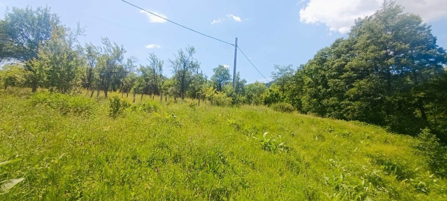 teren-4561-mp-de-vanzare-in-gales-jud-arges-big-2