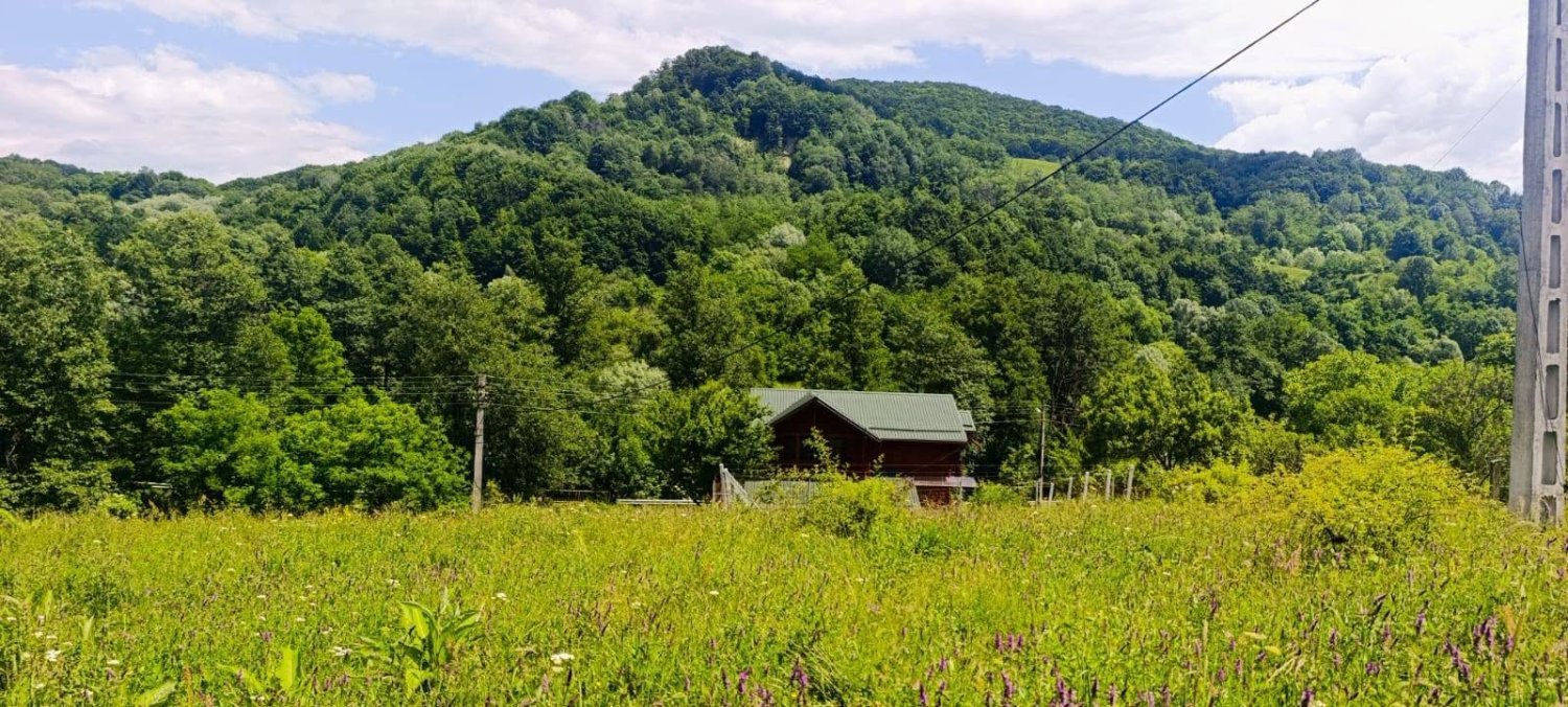 teren-4561-mp-de-vanzare-in-gales-jud-arges-big-0